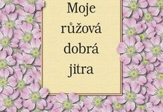 Moje-ruzova-dobra-jitra